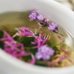 Flowers Floating in Herbal Tea
